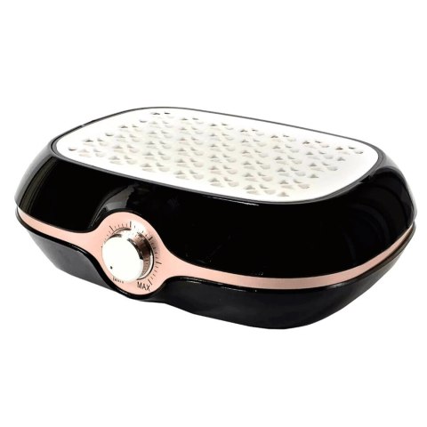 Pochłaniacz pyłu bezworkowy