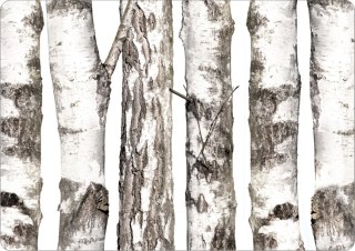 Podkładka prostokątna na stół 29×42 cm, wzór Brzozy - ekologiczny filc, pranie 40 °C, Bertoni