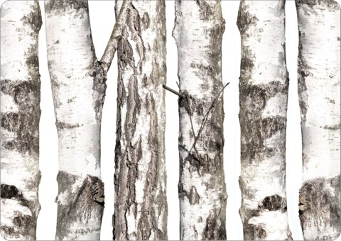 Podkładka prostokątna na stół 29×42 cm, wzór Brzozy - ekologiczny filc, pranie 40 °C, Bertoni