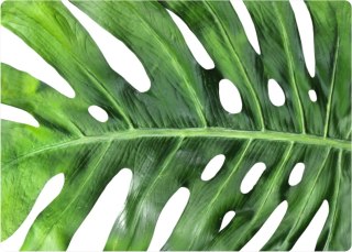 Podkładka prostokątna na stół 29×42 cm, wzór Galapagos Day - ekologiczny filc, pranie 40 °C, Bertoni