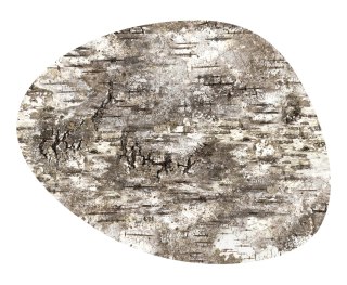 Podkładka owalna na stół, wzór Brzoza 36×32 cm - gruby filc 4 mm, full-color, odporna na temperaturę 120 °C, do kuchni lub komod