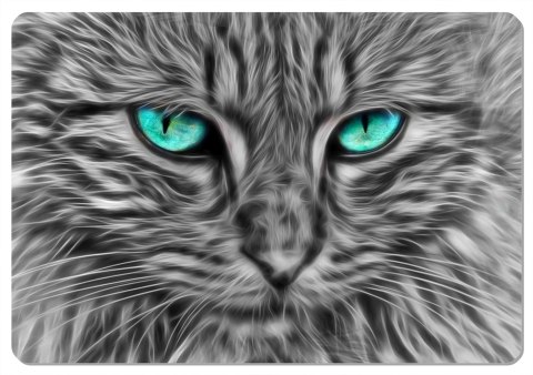 Podkładka prostokątna na stół 29×42 cm, wzór Baltazar - ekologiczny filc, pranie 40 °C, Bertoni