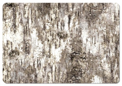 Podkładka prostokątna na stół 29×42 cm, wzór Brzoza - ekologiczny filc, pranie 40 °C, Bertoni