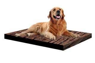 Legowisko materac dla psa XXL 110×80×5 cm - pianka, wodoodporny pokrowiec, nadruk „Akacja", Bertoni