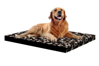 Legowisko materac dla psa XXL 110×80×5 cm - pianka, wodoodporny pokrowiec, nadruk „Bullteriers", Bertoni