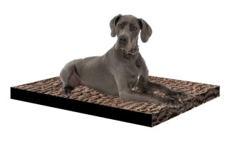 Legowisko materac dla psa XXL 110×80×5 cm - pianka, wodoodporny pokrowiec, nadruk „Robina", Bertoni