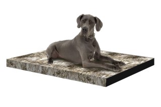 Materac ortopedyczny dla psa ORTO XL 80×55×7 cm - nadruk Brzoza, pianka memory, wodoodporny pokrowiec, Bertoni