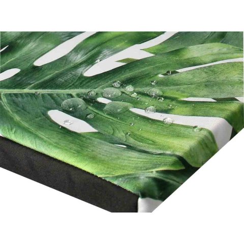 Poduszka ogrodowa na krzesło TIP 40x40 - GALAPAGOS DAY