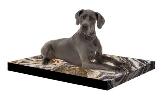 Legowisko materac dla psa XL 80×55×5 cm - pianka, wodoodporny pokrowiec, nadruk „Montana", Bertoni